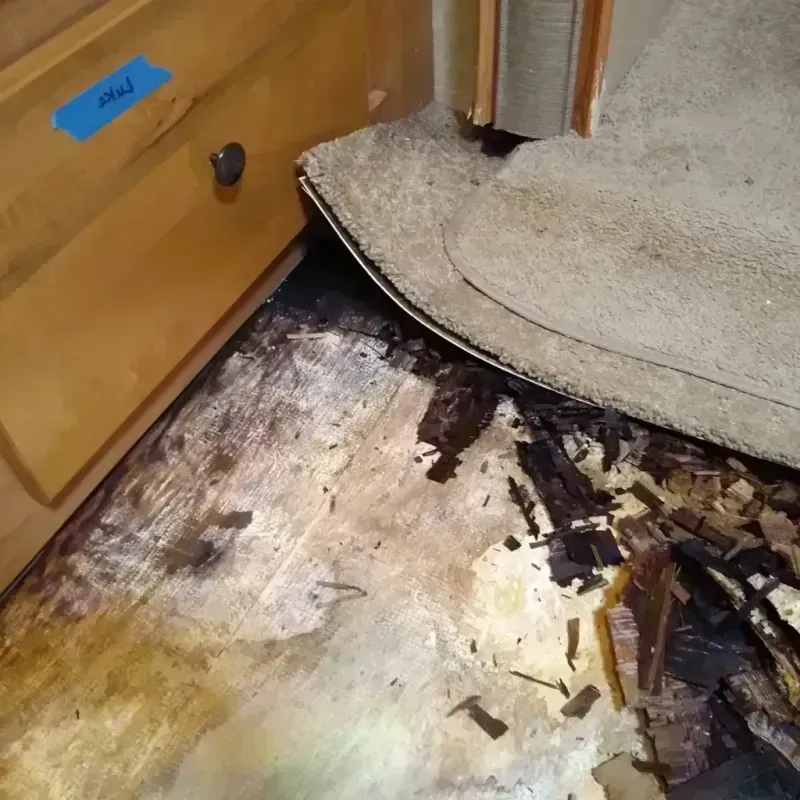 Best Wood Floor Water Damage Service in Dunn County, ND